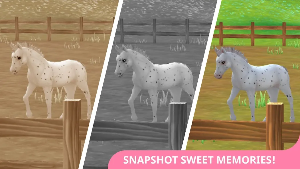 Download Star Stable Horses [MOD Unlimited coins] latest version 1.1.4 for Android