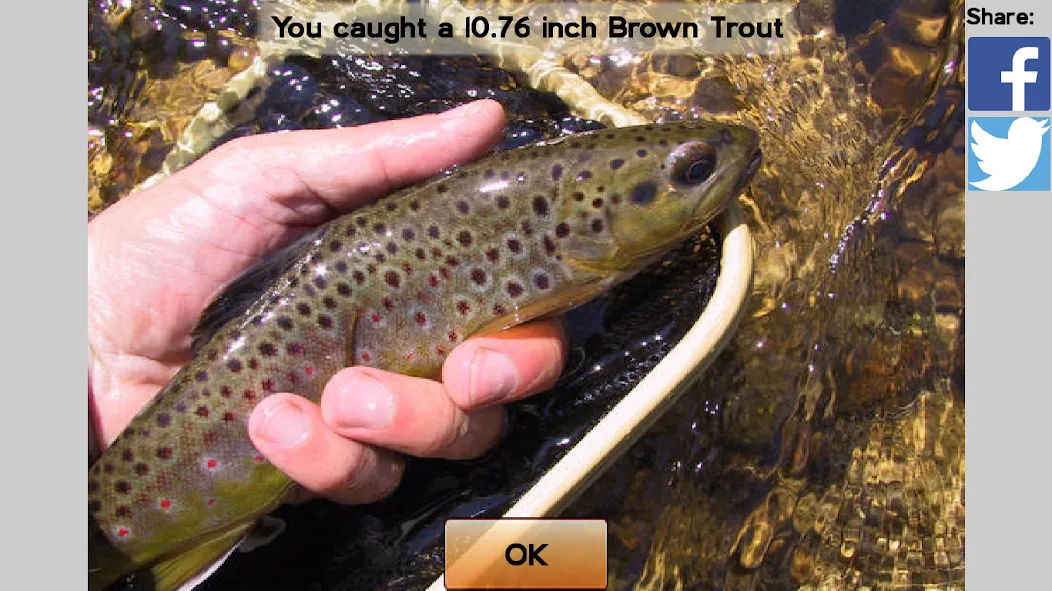 Download Fly Fishing Simulator HD [MOD Unlimited money] latest version 1.4.7 for Android